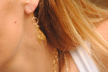 Peacock Feather Earrings