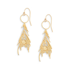 Peacock Feather Earrings