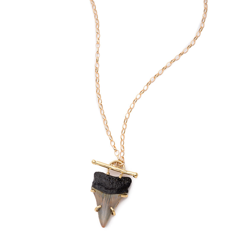 RARE 14kt Gold Snaggletooth Fossil Shark Tooth Necklace, Sterling Silver,  Ocean & Sea Lover, Handmade Wire Wrapped Pendant, Ancient Real - Etsy Israel