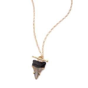 Shark's Tooth Necklace